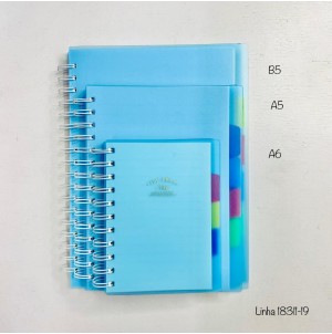 CADERNO :A5-MJ-18311-19 CX: 96PÇS/SUB 48PÇS - MUL/48